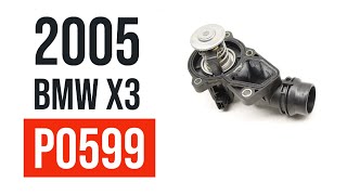 2005 bmw x3 p0599 tip