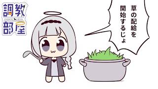⋆⸜ 調教部屋  ⸝⋆　魚もリスナーも育てて大きくすると金になる【白百合リリィ / ビビドニア 】