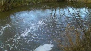 preview picture of video 'Blatchbridge Mill Weir - River Frome'