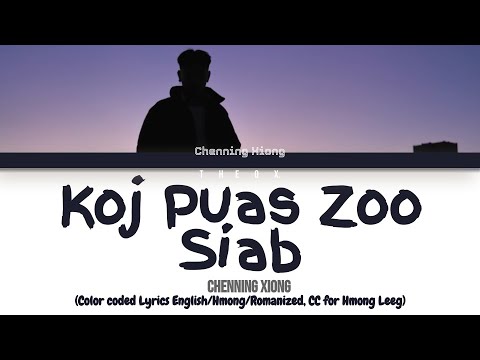 CHENNING XIONG - 'Koj Puas Zoo Siab' (Color Coded Lyrics) (Hmong/Rom/Eng)