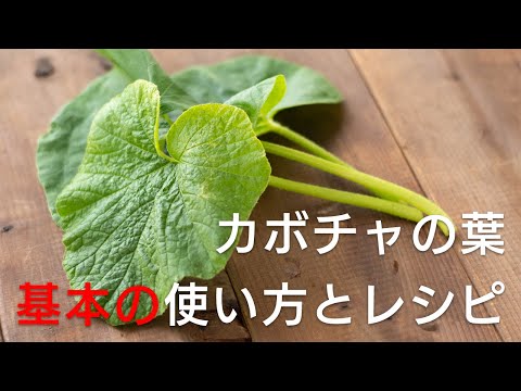 かぼちゃは生で食べられますか? 植物