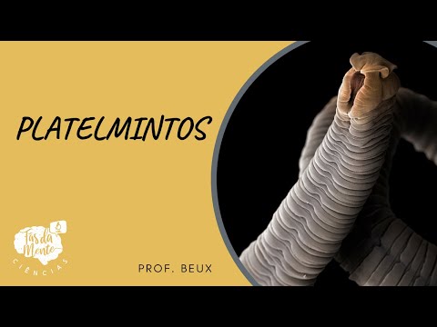 PLATELMINTOS - Ensino Fundamental