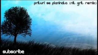 Stellamara - Prituri Se Planinata (Nit Grit Remix)
