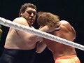 Randy Savage Vs Andre The Giant 10 24 88 Part 1 Of 2