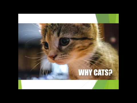 Pecha Kucha Dayton Vol 25 - John Scalzi