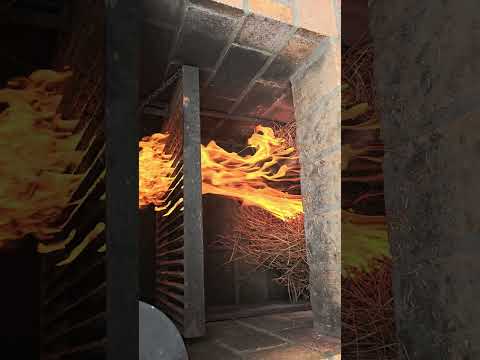 Kiefernnadeln und Feuer im Nationalpark auf Teneriffa!