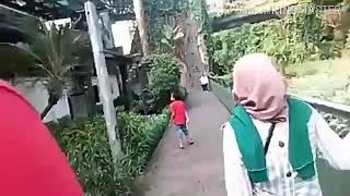 Download lagu EDISI JALAN-JALAN KE RAGUNAN mp3