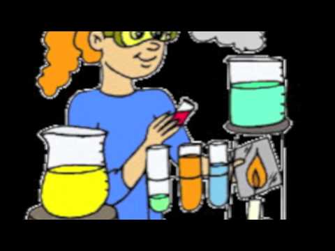 Scientific Method Mov