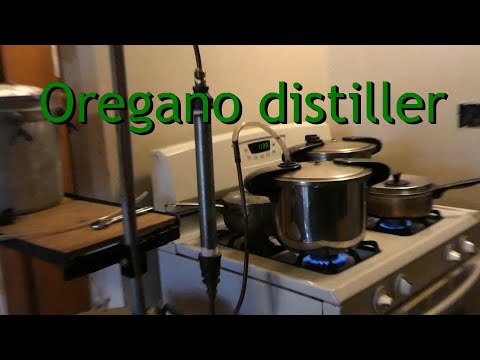 Home-brew oregano oil distiller