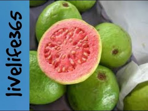 What is guava?