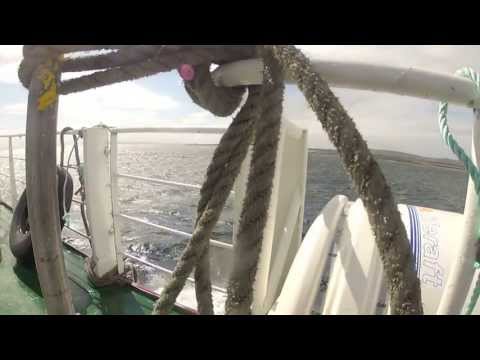 The Plassey Shipwreck and The Rocket Team on Inis Oírr.
