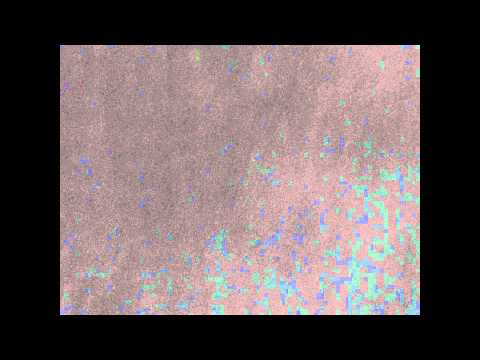 LT aka Philly Gonzalez - Com os meus tropas