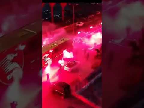 per continuare a credere nel nostro sogno#salernitana#seriea#avanti#tutta