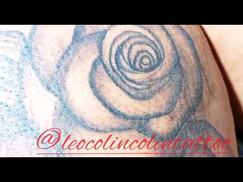 leão tattoo tatuagem de rosas