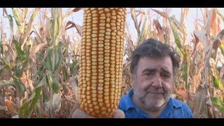 Miniatura do vídeo