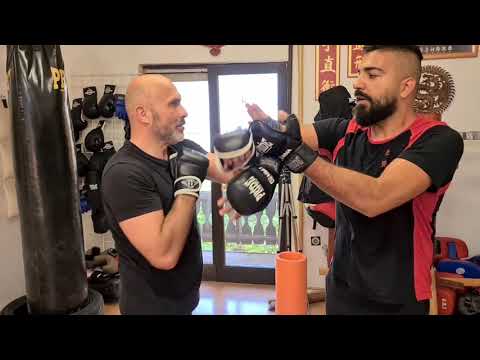 Wing Chun Kuen (by Sifu Mario & Sifu Darko)