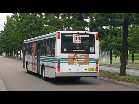 Forest Coach Lines M/O 7279 - Mercedes Benz O405 Volgren CR221