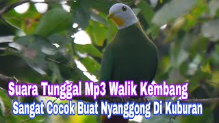 Download lagu Suara Tunggal MP3 Walik kembang || Sangat Cocok Buat Nyanggong mp3