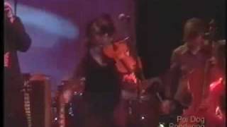 Poi Dog Pondering- Jackass Ginger