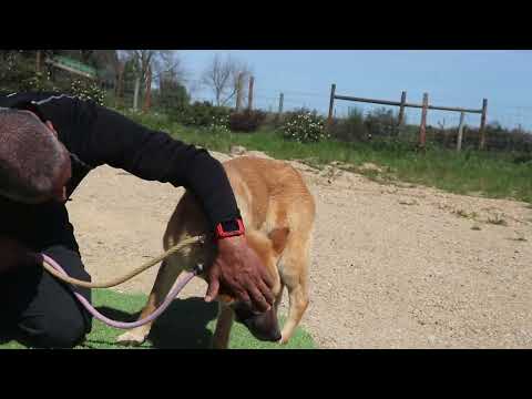 Vídeo de GLÓRIA