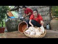 Countryside Life TV Chicken Is Good For Today Recipe Chicken Curry Ginger Stir Fried Chicken
