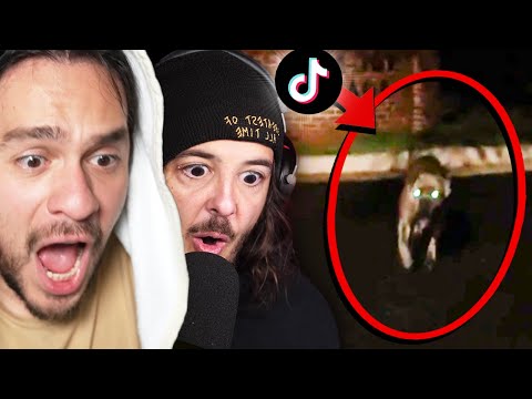 "That Dog Is NOT REAL!" - The SCARIEST TikToks w/Mully