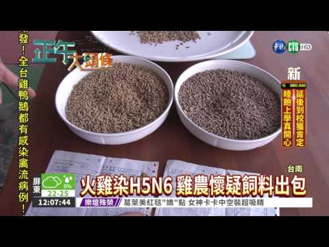 西部失守! 台南火雞感染H5N6