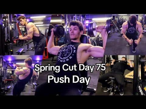 Spring Cut Day 75 - Push Day    #3weeksoutofmyfirstnaturalbodybuildingcompetition