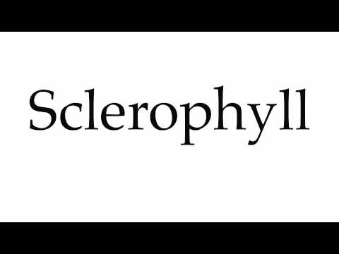 How to Pronounce Sclerophyll