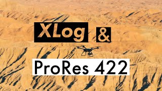 Inside the EVOLVE 2 | Introducing XLog with ProRes 422