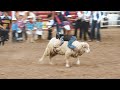 Mutton Busting: Kids Riding Sheep at The Clovis Rodeo  | Localish