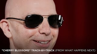 Joe Satriani - “Cherry Blossoms” (#4 What Happens Next Track-By-Track)