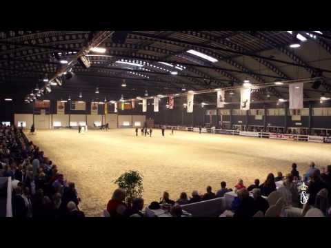 Centrale Merriekeuring 2013 Genieten van het Friese paard