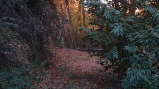 Ana Belén - &#39;Alma ausente&#39; (V. estudio)