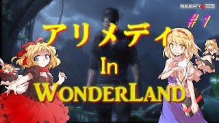 【アンチャーテッド４】アリメディ・イン・ワンダーランド＃１【ゆっくり実況】