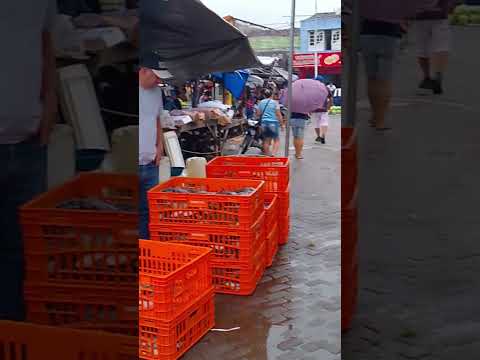 feira do peixe/Viçosa AL 01/04/26