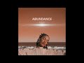 Abundance - SSTEDI | 𝓢𝓟𝓔𝓓 𝓤𝓟 |ＢＬＺＤ