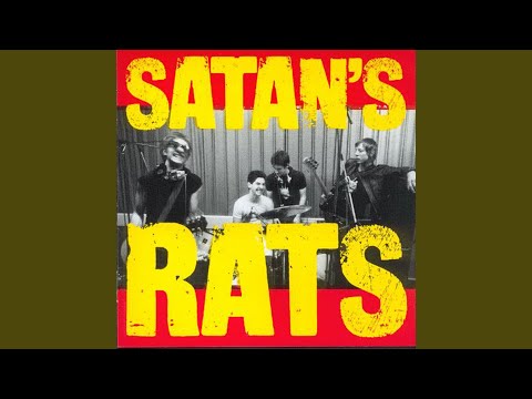 Year Of The Rats