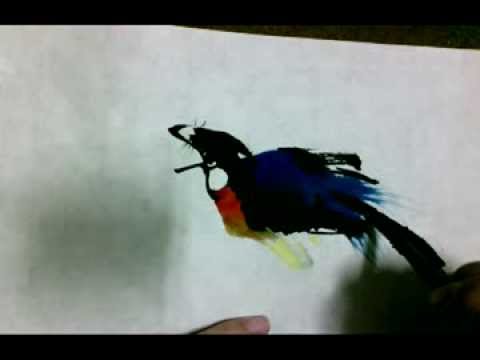 國畫鳥的畫法