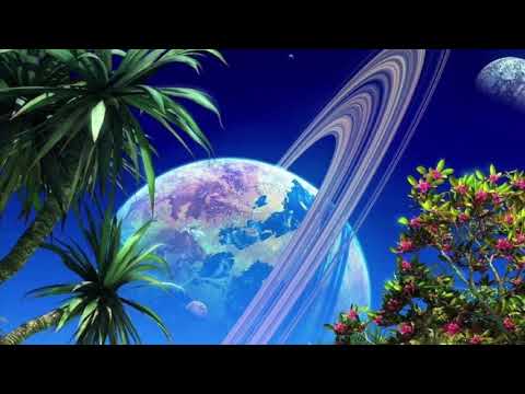 Nunca me perdonaré lo que te hice sufrir