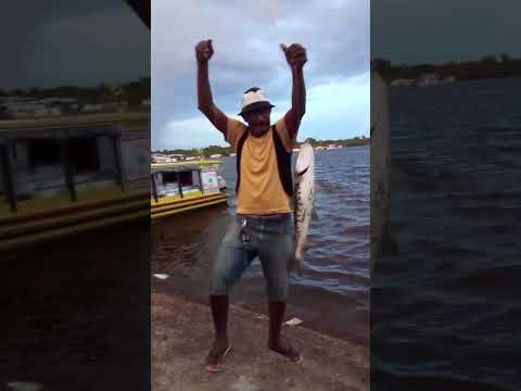 Pesca do peixe surubim nas escadarias da cidade de Uarini/AM.