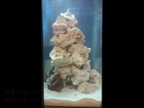 How to cycle a reef tank/cure live rock. How to build a reef tank part 9.