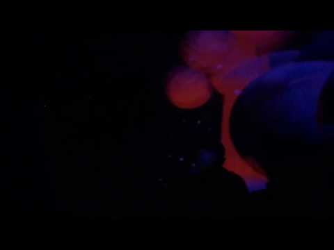 Sahar Z @ Dorian Gray, Cordoba, Argentina (10/3/2017)