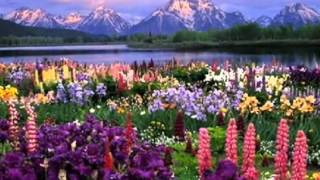 Catedral [br] - Sol De Primavera