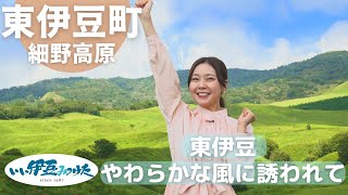 Attach YouTube