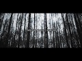 Two - Twenty One Pilots (Video Lyrics)