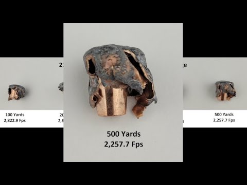 Deer Hunting With Nosler Whitetail Country Ammo