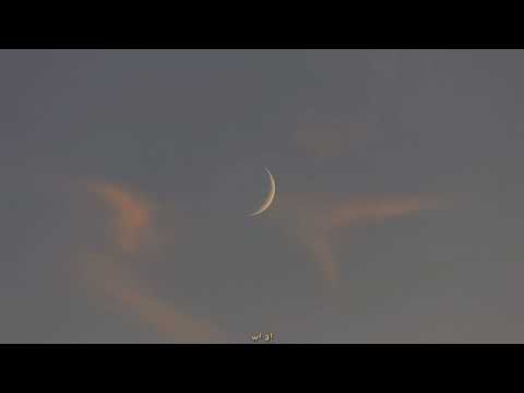 Dvicio - INDIRECTAS |letra|