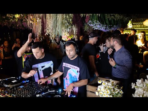 Promixlive - @Back2TheBeat  (Pick me flowers edition)