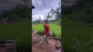 Download lagu Ka serang hela baraya  #rismanirmalasari mp3